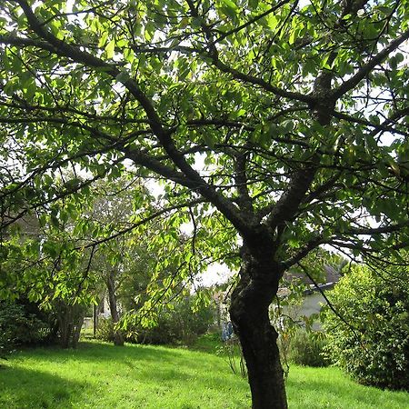 Maison Avec Grand Jardin Pour 15 Couchages En Normandie Cairon Ruang foto